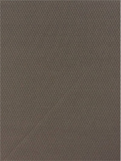 DG-SNSE  BIRD-EYES  100％POLYESTER   200G/Y 正面照